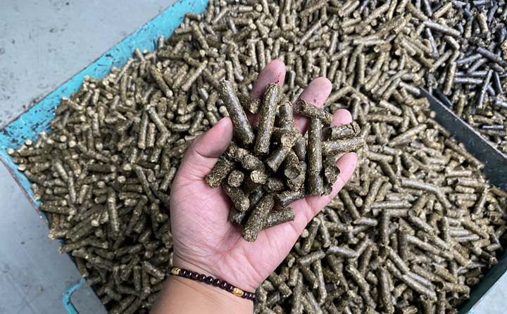 生物質(zhì)燃料顆粒機的顆粒燃料